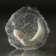 An olm egg on the verge of hatching (Image: Iztok Medja)